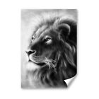 A3 - Bw - Majestic Lion Big Cat Poster 29.7X42cm280gsm #41479