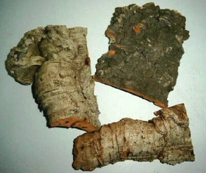 Korkrinde mit Aufhänger - Bild 1 von 1