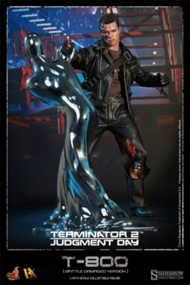  1/6 HOT TOYS TERMINATOR 2 T800 BATTLE DAMAGED  DX13  EXCLUSIVE FACTORY Sealed  - Image 1 of 4