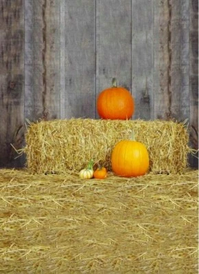 Fotografía fondo calabaza de Halloween 5x7 Foto 1 de 2