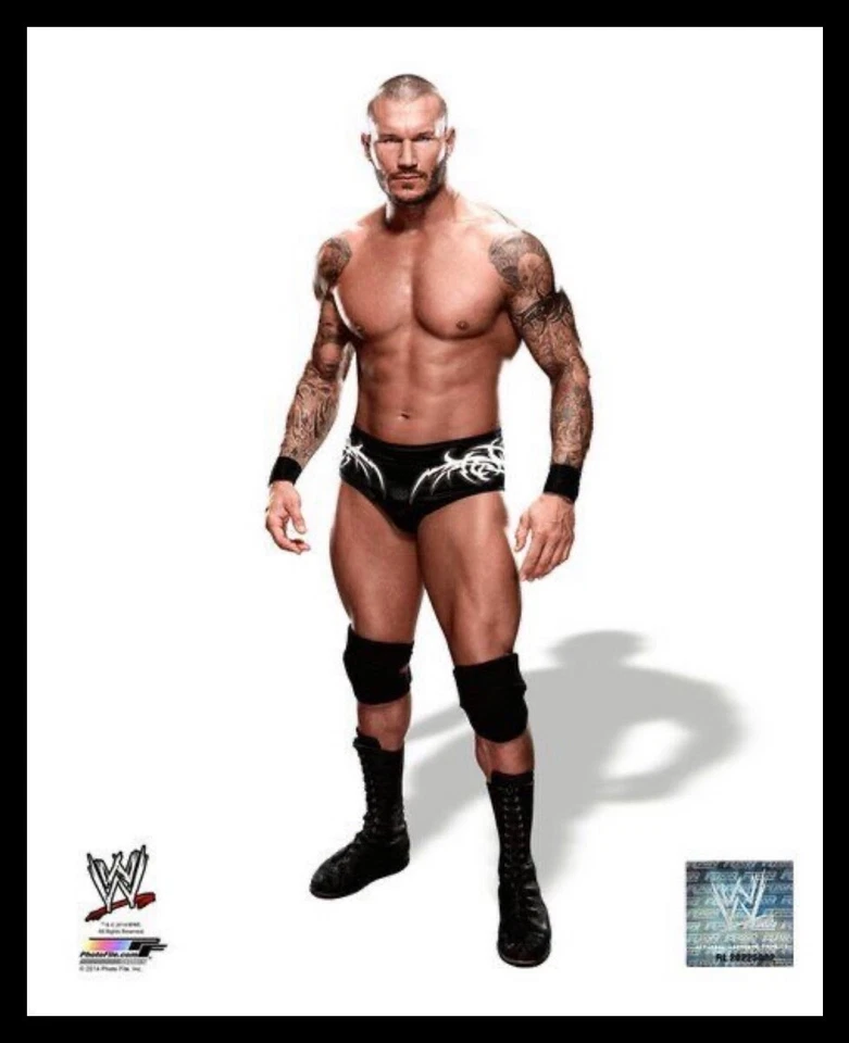 WWE РЭНДИ ОРТОН ОФИЦИАЛЬНЫЙ ЛИЦЕНЗИРОВАННЫЙ 8 X 10 РЕСТЛИНГ ФОТО ПОДЛИННЫЙ ФОТО ФАЙЛ 4 - Изображение 1 из 1