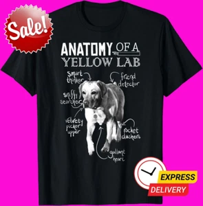 Anatomie eines gelben Labors Tafel Labrador Retriever Liebhaber T-Shirt - Bild 1 von 4
