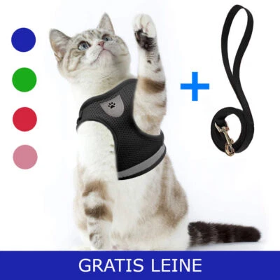 Hundegeschirr Katzengeschirr mit Leine Brustgeschirr Haustier DESIGN - Bild 1 von 4