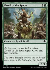 Druida de la Espada (170) Bloomburrow BLB MTG Magic - Imagen 1 de 1