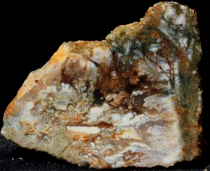 S-450 ~ 3,2 Unzen 4 Stück Platten/Enddick Linda Marie Mossy Plume Achat - Bild 1 von 10