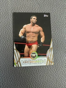 2018 Topps Legends of the WWE Legends Bronze Ken Shamrock #29 - Picture 1 of 2