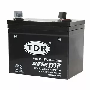 12V 28AH RIDE ON MOWER U1R-11 300CCA BATTERY REPLACE 12N24-3 12N243WC - Picture 1 of 6
