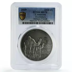 Cameroon 1000 francs African Ounce Wildlife Camels MS70 PCGS silver coin 2019 - Picture 1 of 2
