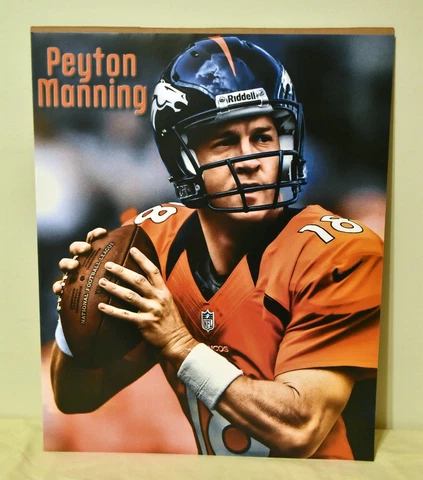 PEYTON MANNING Denver Broncos NFL Football 16x20 Poster Cover