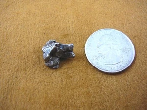 (x262-41) 4g Campo del Cielo Eisenmeteorit 1576 Splitter Fragmente Specimen - Bild 1 von 1