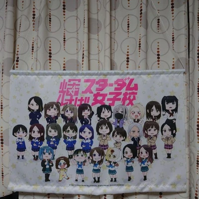 Tapiz escolar Stardom niñas lucha libre profesional decoración de pared usado falta varilla Foto 1 de 4