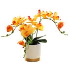 Artificial Flower Phalaenopsis Bonsai Faux Orchid Flower In Pot In/Outdoor Decor