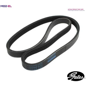 VRIBBED BELT 8PK2430ES - Picture 1 of 8