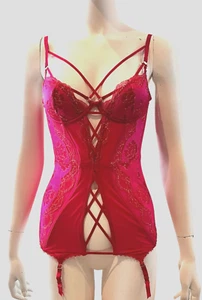 Victoria's Secret Lingerie Corset bustier Pink 34C Lace Embroidery Sheer NWT - Bild 1 von 5