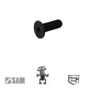 10 SCHWARZE Sammy® Schrauben M4X6 Flachkopf,sehr niedrig Torx Edelstahl SCHWARZ - Bild 1 von 3