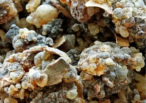 Royal Frankincense Organic Black Hojari Frankincense Oman (Bos. Sacra) (1.5 oz.) - Picture 1 of 5