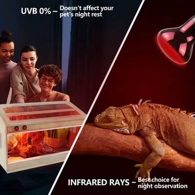 Lampada INFRAROSSI riscaldante infrarossi calore pulcini rettili e tartarughe - Immagine 1 di 4