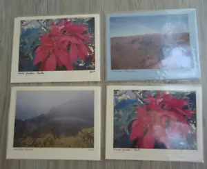 4 tarjetas fotográficas de colección de Hawaii firmadas Lisa Catch Your Eye Koloa en funda sin usar - Imagen 1 de 6