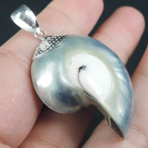 Joyería colgante de plata esterlina 925 color natural Nautilus, NSP-260 - Imagen 1 de 7