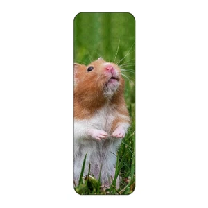 HAMSTER IN GRASS NOVELTY BOOKMARK SAME IMAGE BOTH SIDES GREAT GIFT - Picture 1 of 1
