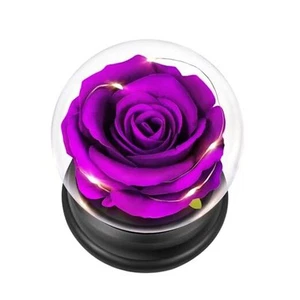 Rose Flower Valentines Gifts for Her, Birthday Gifts for Women Mom Wife - Picture 1 of 8