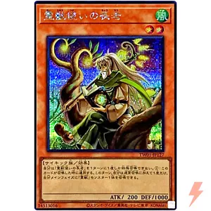 Ritual Beast Tamer Elder - Secret Rare TW01-JP127 Terminal World - YuGiOh OCG - Bild 1 von 3