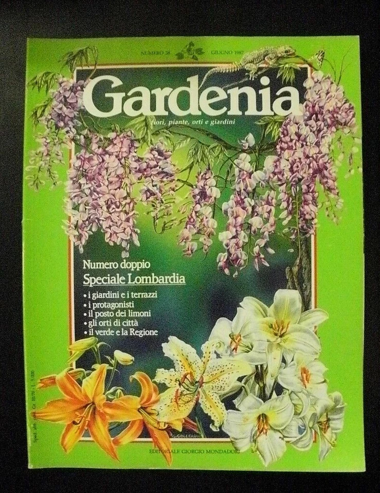 rivista GARDENIA n.38-1987/cavolbroccolo/Gigli d'europa:il turbante turco - Immagine 1 di 1
