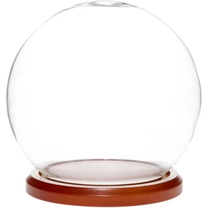 Plymor 6" x 7" Glass Display Dome Globe Cloche (Walnut MDF Base) - Picture 1 of 2