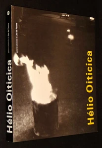 Hélio Oiticica - Picture 1 of 1