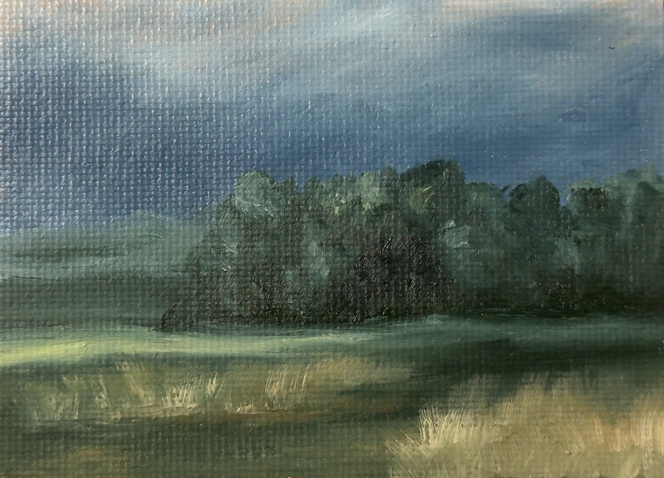 Pintura a óleo original ACEO paisagem ATC cartão de arte natureza abstrato por Emmer Plaxe - Imagem 1 de 1