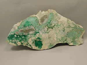Lucin Variscite Green Polished Stone Decorator Rock Utah #O10 - Picture 1 of 8