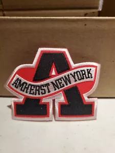 AMHERST NEW YORK EMBROIDERED IRON-ON PATCH applique STATE SOUVENIR - Picture 1 of 1