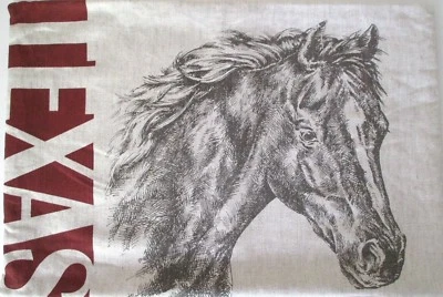  TEXAS STATE Horse THROW PILLOW COVER by 123 CREATIONS ~ 14" x 20" ~ New  - Image 1 of 4