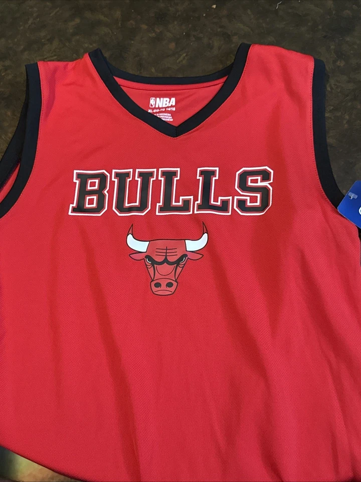 Chicago Bulls BEN GORDON nba Jersey YOUTH KIDS BOYS CHILDRENS (L-LG-LARGE) - Image 1 of 1