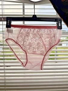 Vintage Mixer Dame Dainty Sheer Chiffon Nylon Lace Front Hipster Panties 7 - Picture 1 of 5