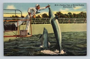 Cartolina Feeding Time Marine Studios Marineland Florida Pudgy Focena Lino - Foto 1 di 2