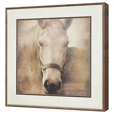 Horse Head Wall Art Framed Picture Equine Animal Photography Decor 16.25 X 16.25 - Image 1 of 2