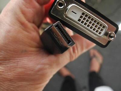 DP-DVI-Kabel auf double Link female   DisplayPort 22 cm - Bild 1 von 2