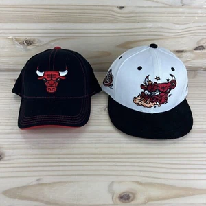 Chicago Bulls Hat Artist Series NBA Logo S/M Fitted Snapback Lot of 2 - Picture 1 of 18