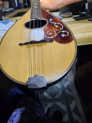 1921 Wurlitzer Mandolin  - Image 1 of 4