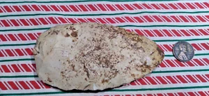 NICE 4" PALEO KNIFE ARROWHEAD Authentic Indian Artifact ARROWHEADS - Picture 1 of 7