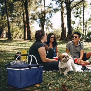  Caja de almacenamiento de picnic al aire libre contenedor de alimentos térmico aislado portátil - Imagen 1 de 12