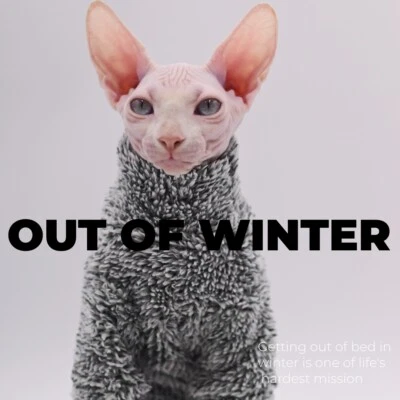 Sphynx Cat Clothes Stretch Warm and Comfortable Self-Heat Hairless Cat Clothes - Image 1 of 4