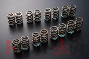 Juego de resortes de válvulas TOMEI -12.0 mm LANCER EVO 10 CZ4A 4B11 MIVEC 163051 ##612121452 - Imagen 1 de 1