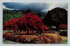 Hope Botanical Gardens - St Andrew Jamaica British West Indies - Postcard PC4006