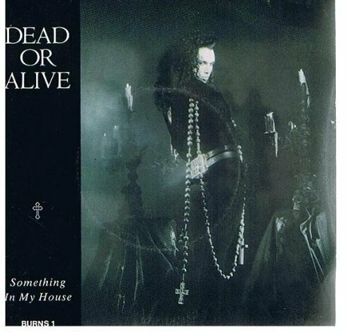 Dead or Alive Something in my house (1986)  [7" Single] - Bild 1 von 1