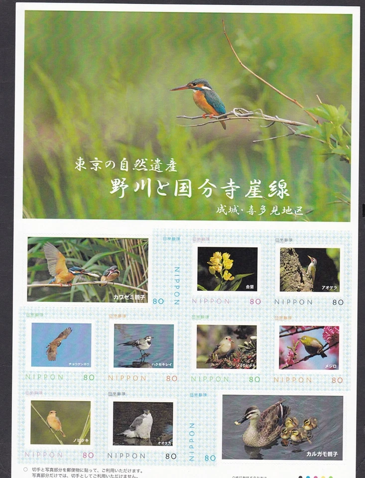 Hoja de sello personalizada de Japón, pájaro halcón pato Nogawa Kokubunji (jps1282) Foto 1 de 1