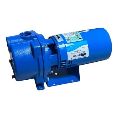 Goulds GT203 IRRI-GATOR Self-Priming Centrifugal Pump, 2 HP, 230/460 V, 3 Phase - Image 1 of 4