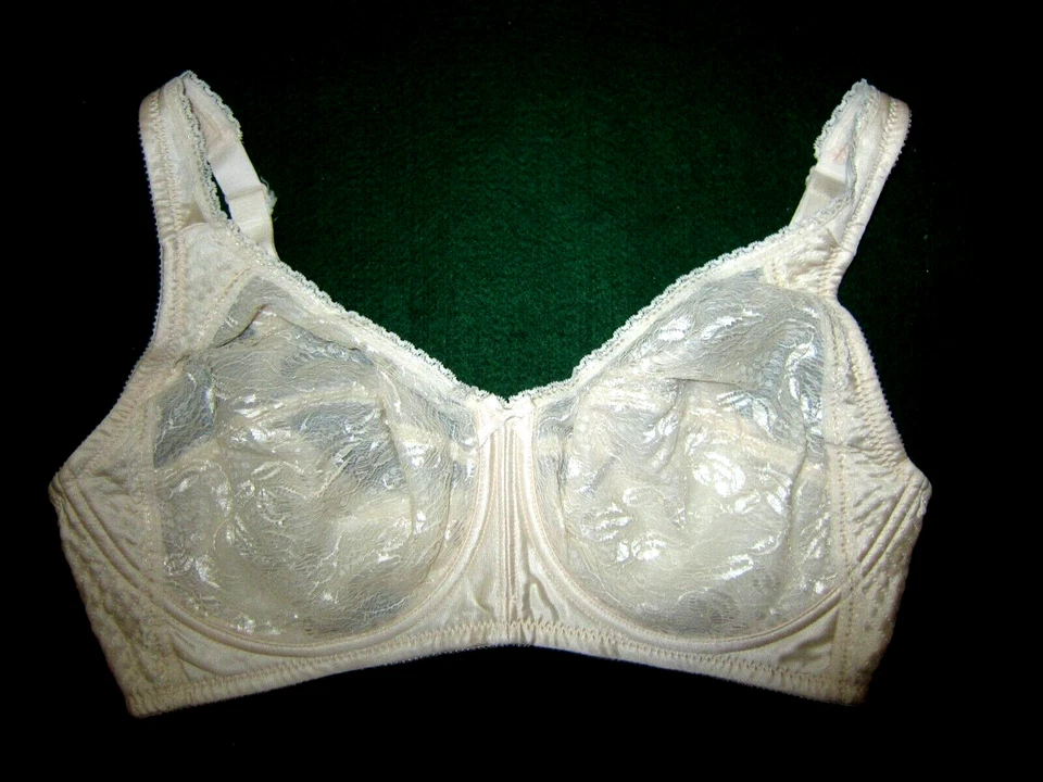 NEW Vintage Sears AH H EMBROIDERED FLORAL SHEER LACE SATIN SILKY BRA 36DD 76357 - Image 1 of 4
