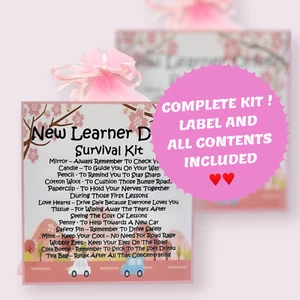 New Learner Driver Survival Kit (Pink) ~ Unique Fun Novelty Gift & Keepsake ! - Picture 1 of 4